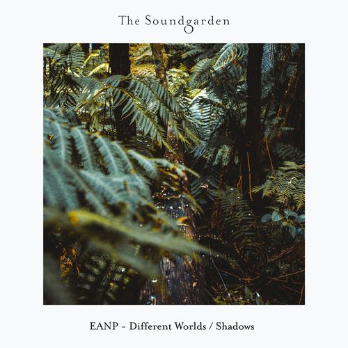 EANP - Different Worlds - Shadows